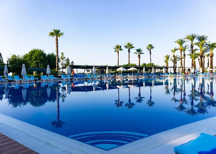 Aqi Pegasos World Side